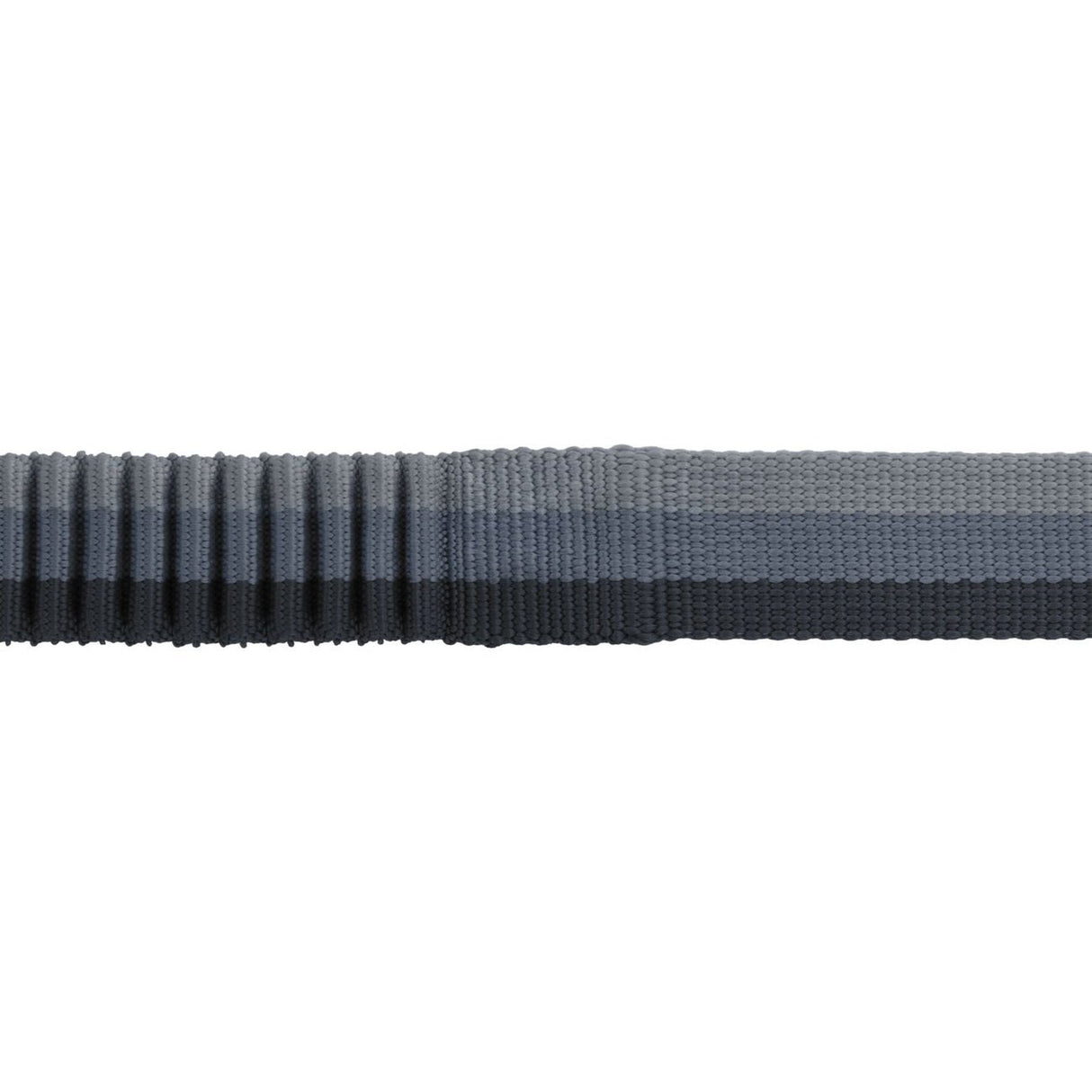 Hundeleine Roamer Leash