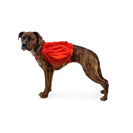 Ruffwear Hunderucksack Palisades™ Pack