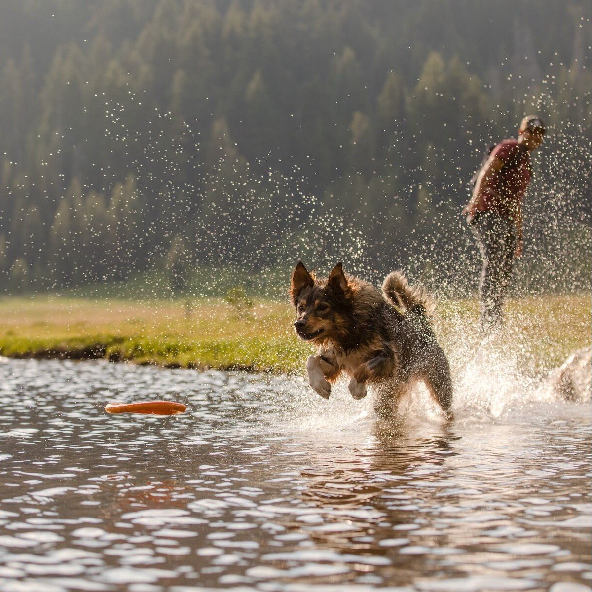 Hydro Plane Wasser Spielzeug