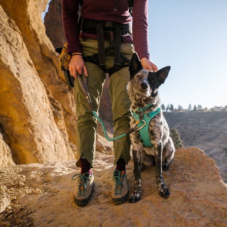 Ruffwear Knot-a-Leash Hundeleine