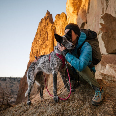 Ruffwear Knot-a-Leash Hundeleine