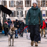 Overcoat Fuse Hundeweste