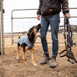 Ruffwear Overcoat Utility Jacket für Hunde