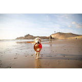 Ruffwear Pacific Loop™ Hundespielzeug Frisbee