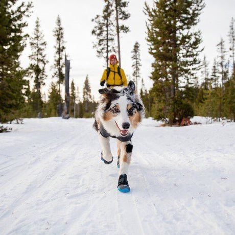 Ruffwear Polar Trex™ Hundeschuhe
