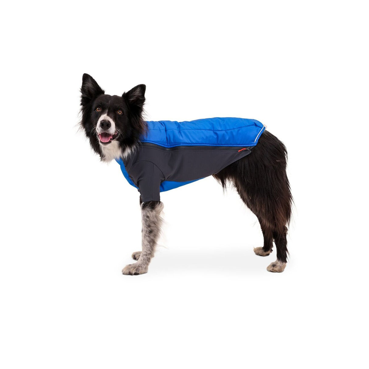 Powder Hound Wintermantel für Hunde
