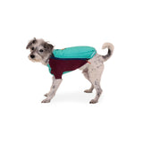 Powder Hound Wintermantel für Hunde