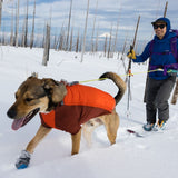Powder Hound Wintermantel für Hunde