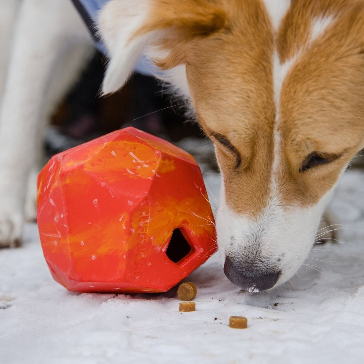 Ruffwear Spielzeug für Hunde Gnawt-a-Rock