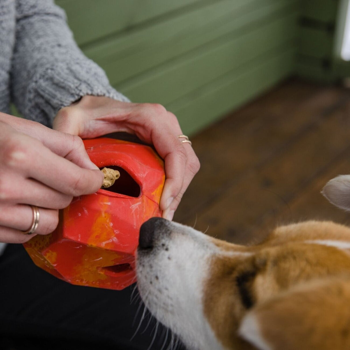 Ruffwear Spielzeug für Hunde Gnawt-a-Rock