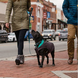 Ruffwear Stumptown Hundemantel