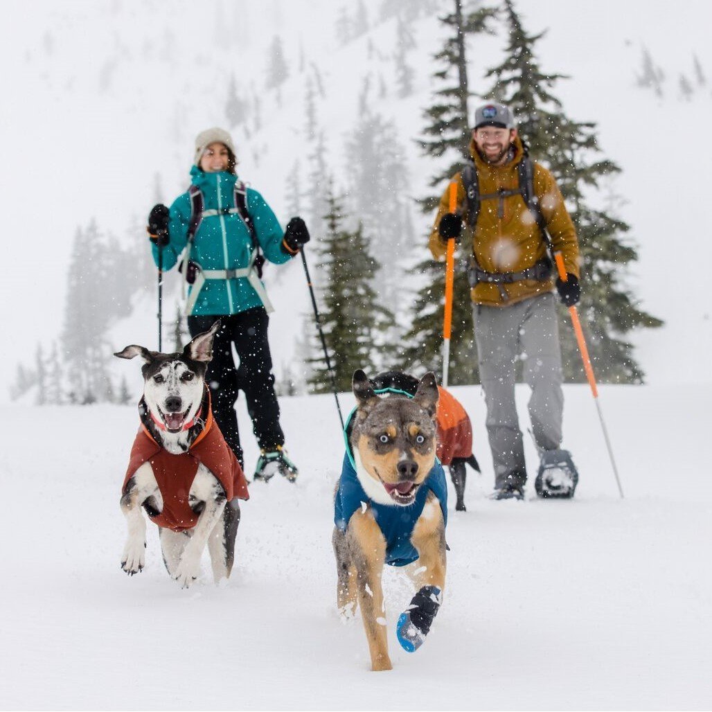 Vert Dog Jacket Hunde Wintermantel