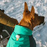 Vert Dog Jacket Hunde Wintermantel