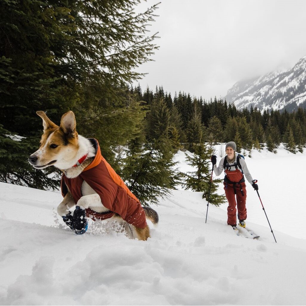 Vert Dog Jacket Hunde Wintermantel