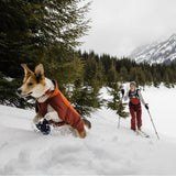 Vert Dog Jacket Hunde Wintermantel