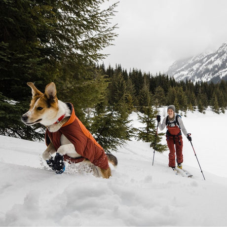 Vert Dog Jacket Hunde Wintermantel