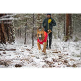 Ruffwear Vert Jacke für Hunde