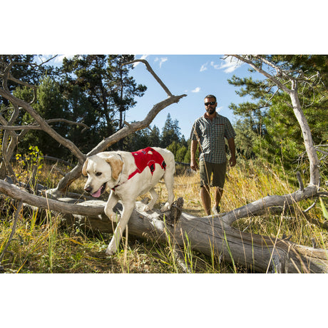 Ruffwear Hundegeschirr Webmaster