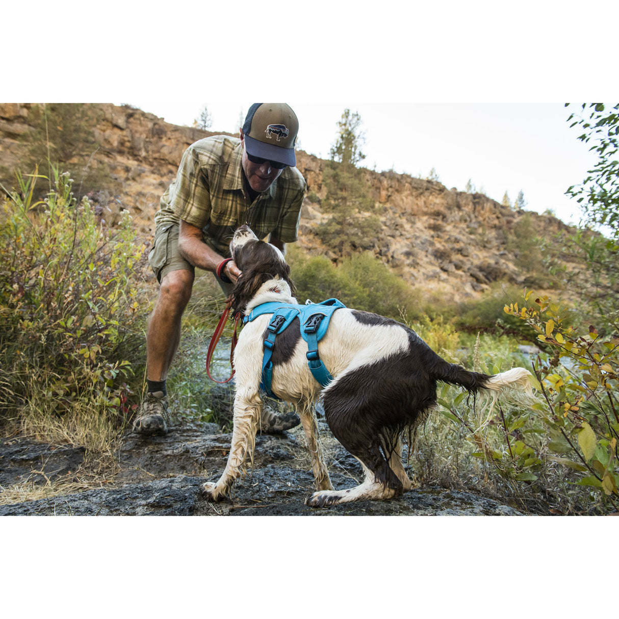 Ruffwear Hundegeschirr Webmaster