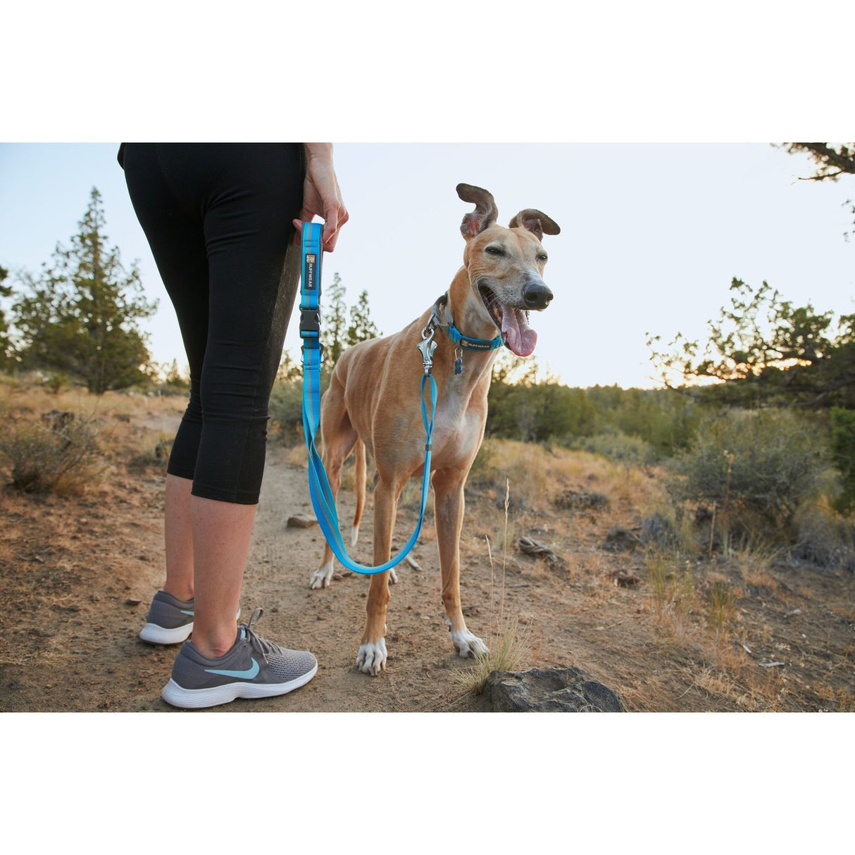 Ruffwear Web Reaction™ Collar Hundehalsband
