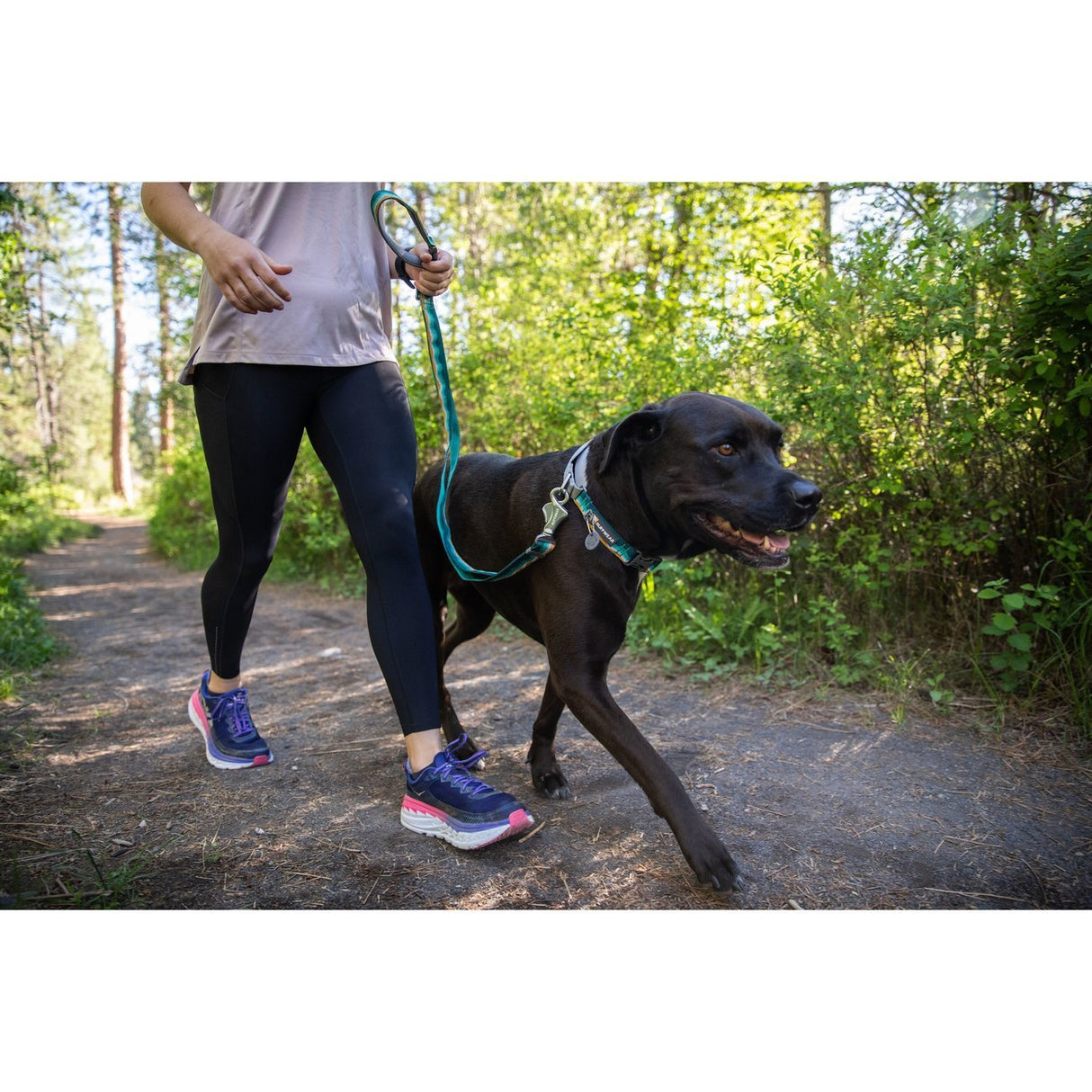 Ruffwear Web Reaction™ Collar Hundehalsband