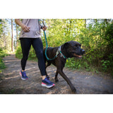 Ruffwear Web Reaction™ Collar Hundehalsband