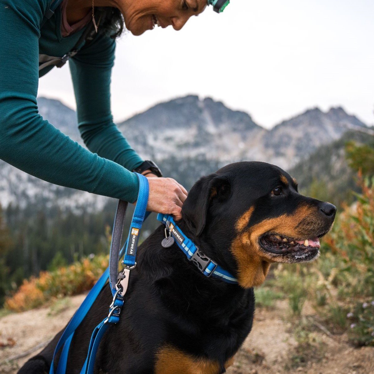 Ruffwear Web Reaction™ Collar Hundehalsband