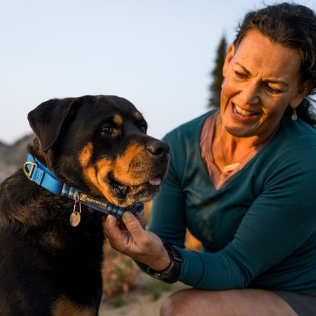 Ruffwear Web Reaction™ Collar Hundehalsband