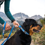Ruffwear Web Reaction™ Collar Hundehalsband