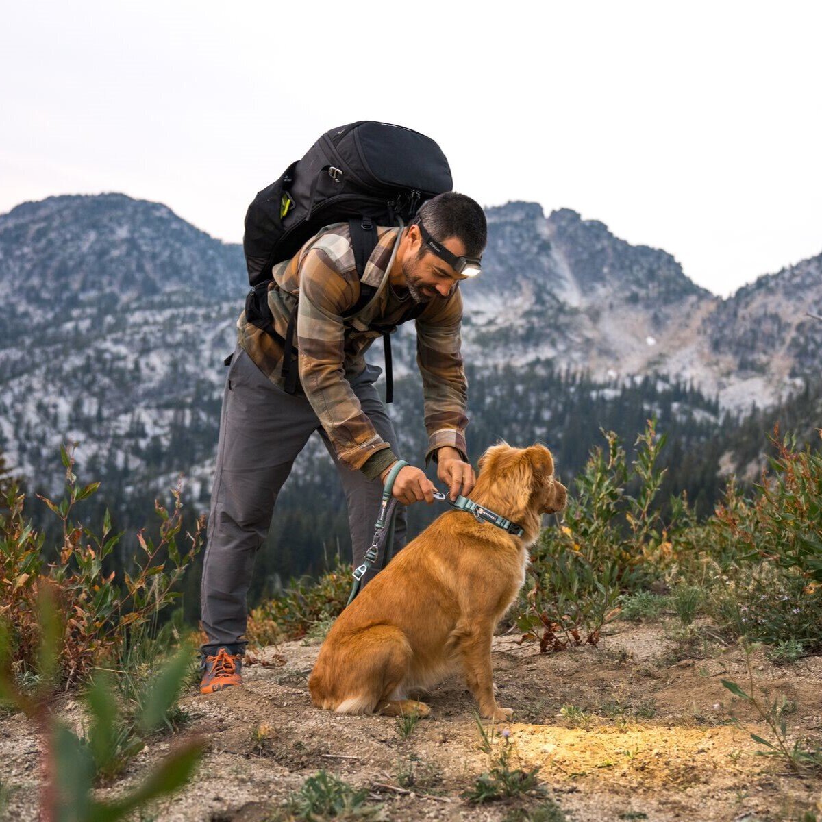 Ruffwear Web Reaction™ Collar Hundehalsband