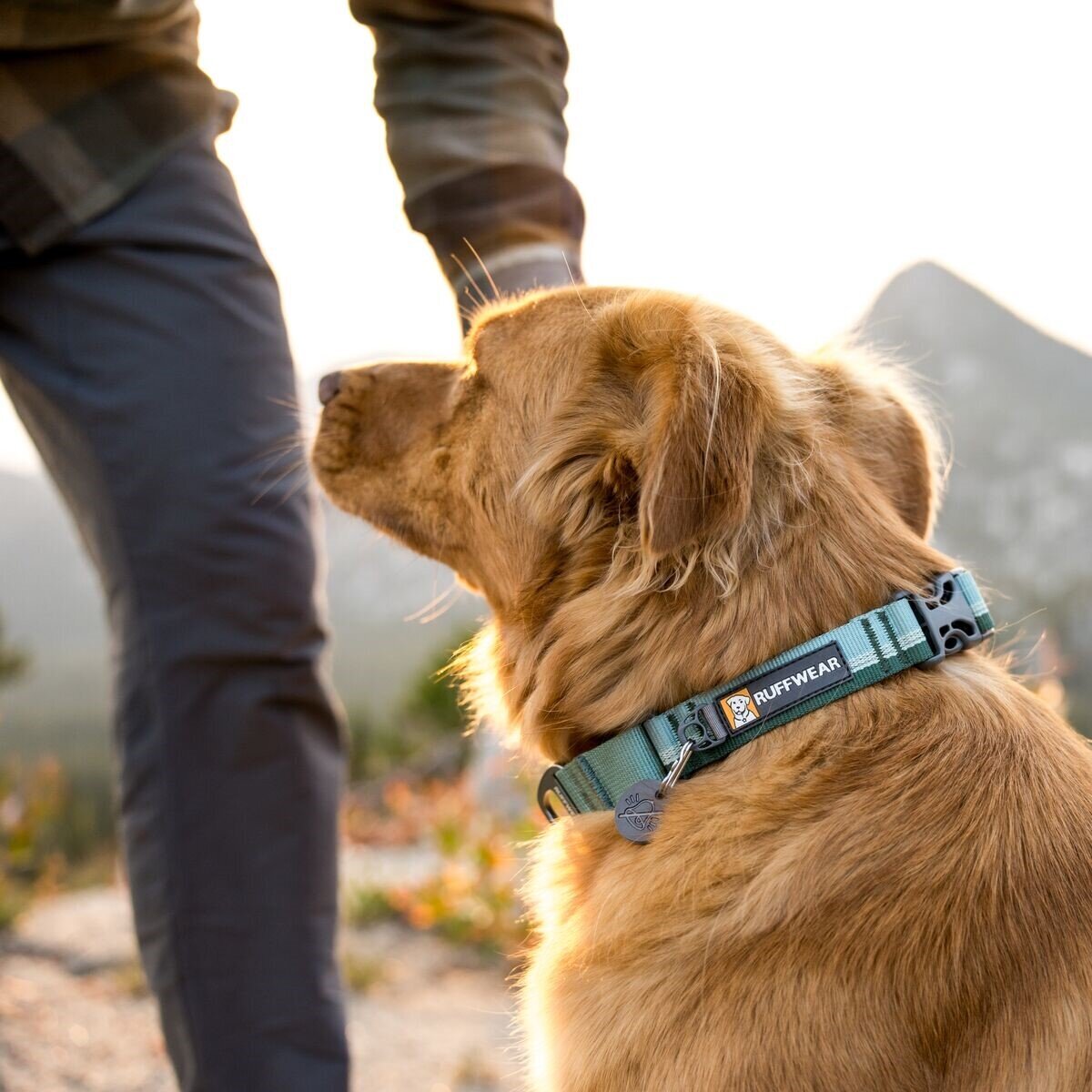Ruffwear Web Reaction™ Collar Hundehalsband