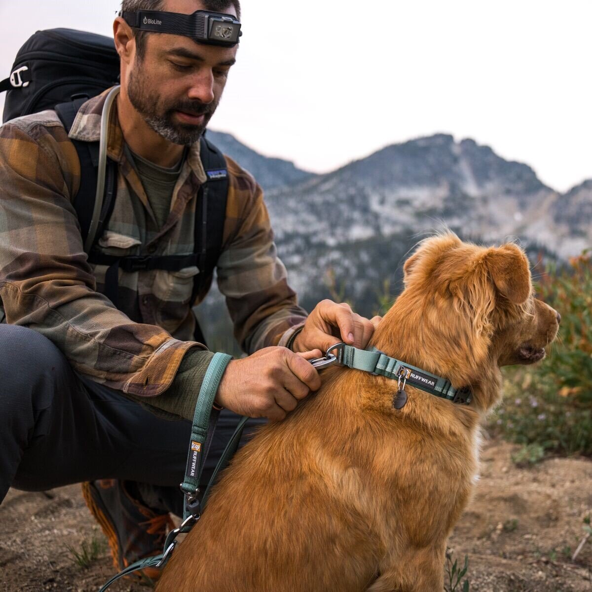 Ruffwear Web Reaction™ Collar Hundehalsband