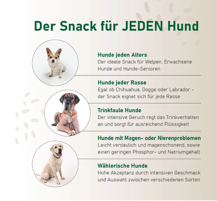 SmoothieDog Hundesmoothie Morosche Karottensuppe – Natürliche Verdauungshilfe