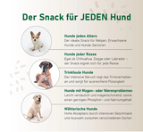 SmoothieDog Hundesmoothie Morosche Karottensuppe – Natürliche Verdauungshilfe