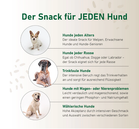 SmoothieDog Hundesmoothie Morosche Karottensuppe – Natürliche Verdauungshilfe