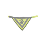 Sicherheits-Halstuch für Hunde