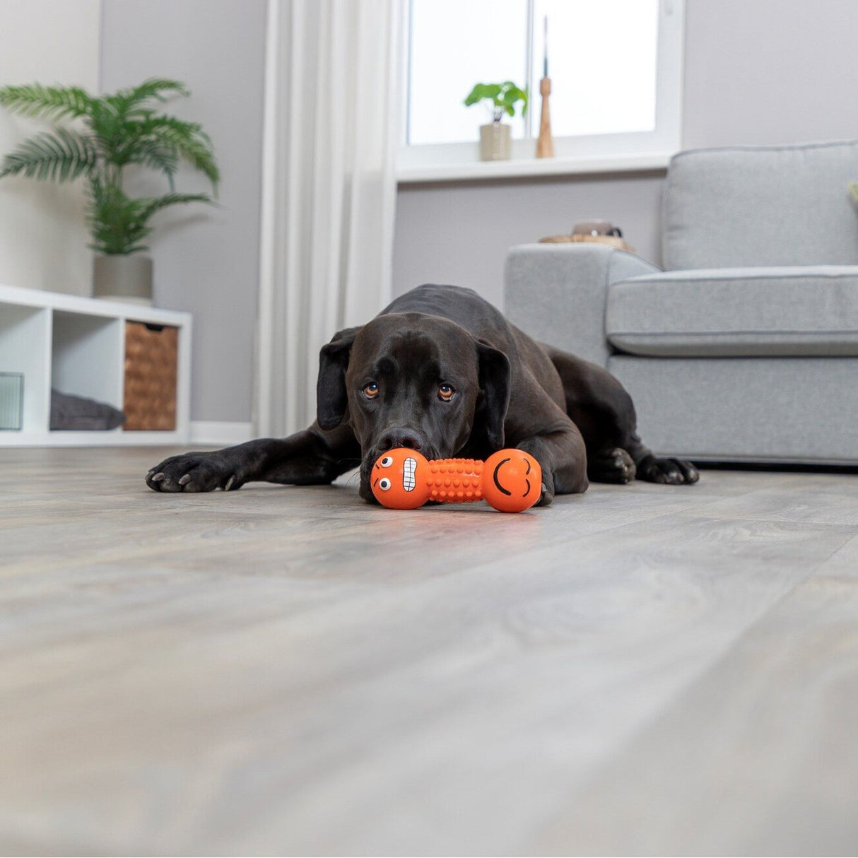 Smiley Hantel Hundespielzeug aus Latex