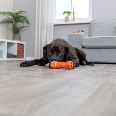 Smiley Hantel Hundespielzeug aus Latex