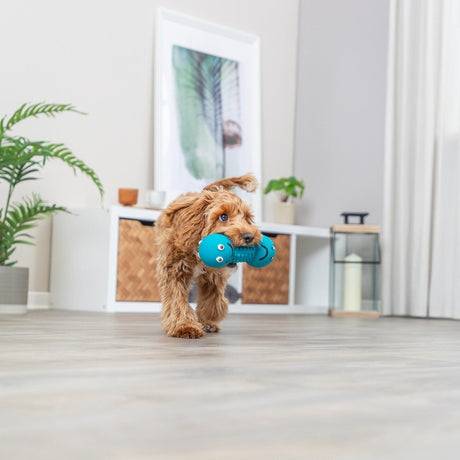 Smiley Hantel Hundespielzeug aus Latex