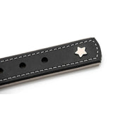 Sternfalbe Lederhalsband für Hunde