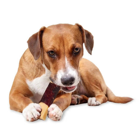 Kaukäse Stangen für Hunde, Käse Barren mit Fleisch