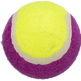 farbenfroher Hunde Tennisball