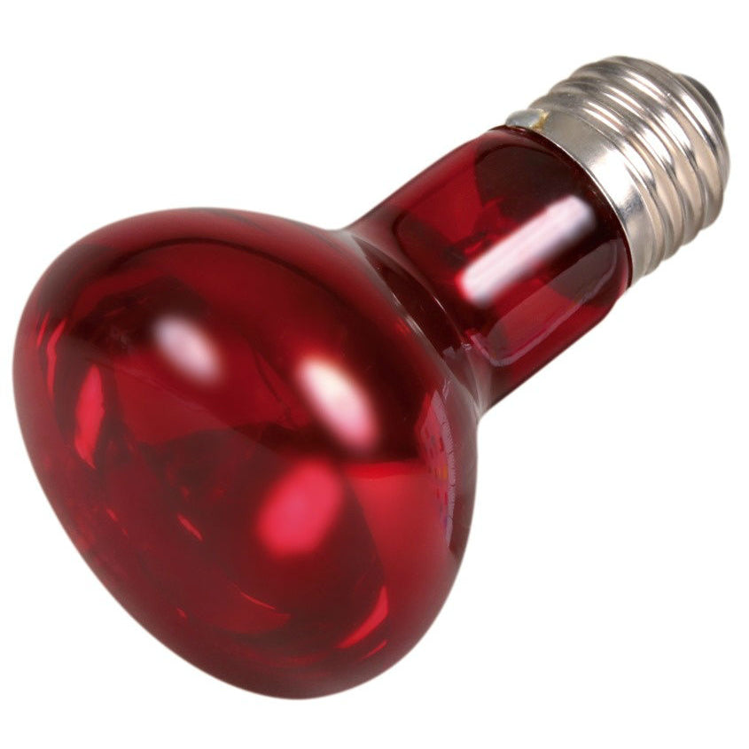 Terrarium Infrarot Lampe
