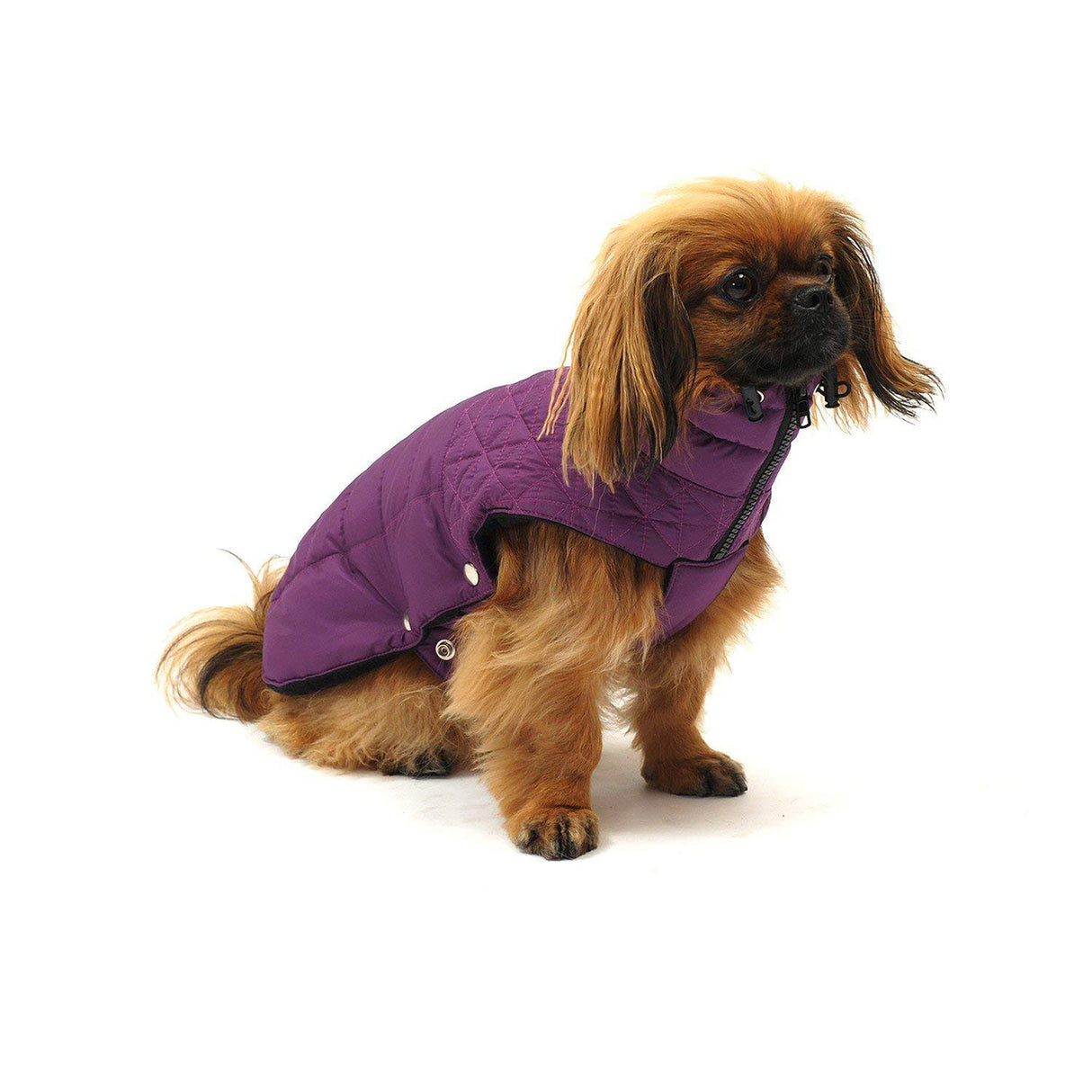 Thermo Steppjacke Boston für Hunde