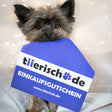 tiierisch.de Einkaufs Gutschein zum Verschenken