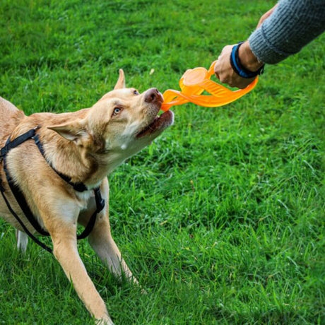 Bionic TOSS-N-TUG® langlebiges Hundespielzeug – TOSS-N-TUG