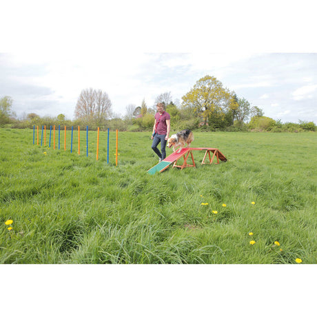 Agility Steg – 456 × 64 × 30 cm