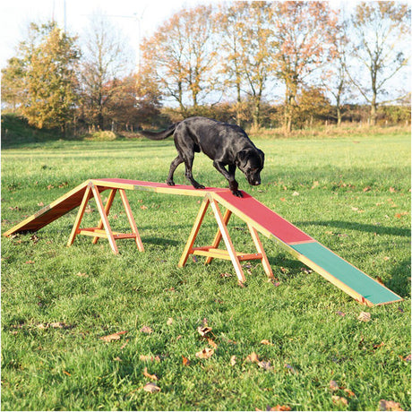 Agility Steg – 456 × 64 × 30 cm