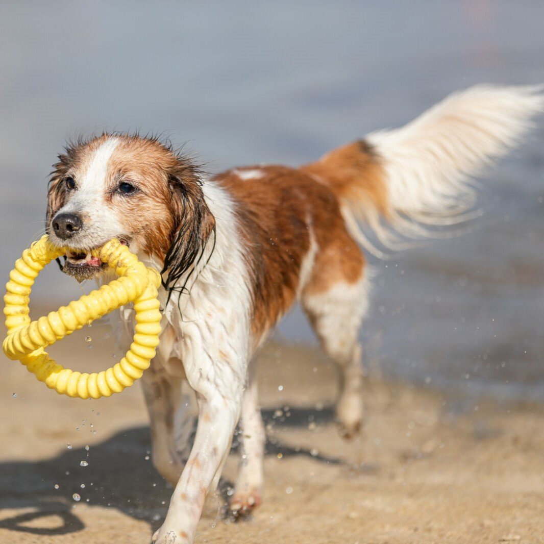 Aqua Toy Greifer