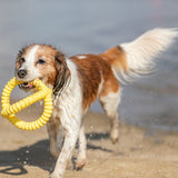 Aqua Toy Greifer
